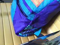 Teal and Purple Lightweight Packable Backpack
