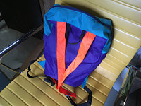 Teal and Purple Lightweight Packable Backpack